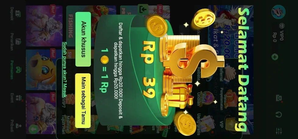 RSNVIP6 screenshot